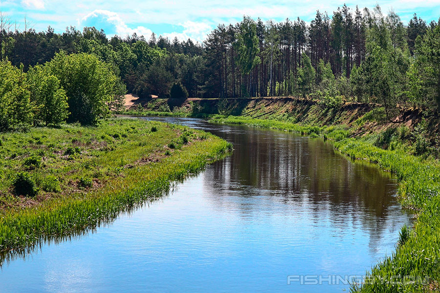 Берега реки Щара