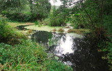Чертень река