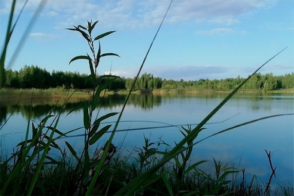 Раздяловичи водохранилище