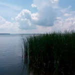 Светлогорское водохранилище