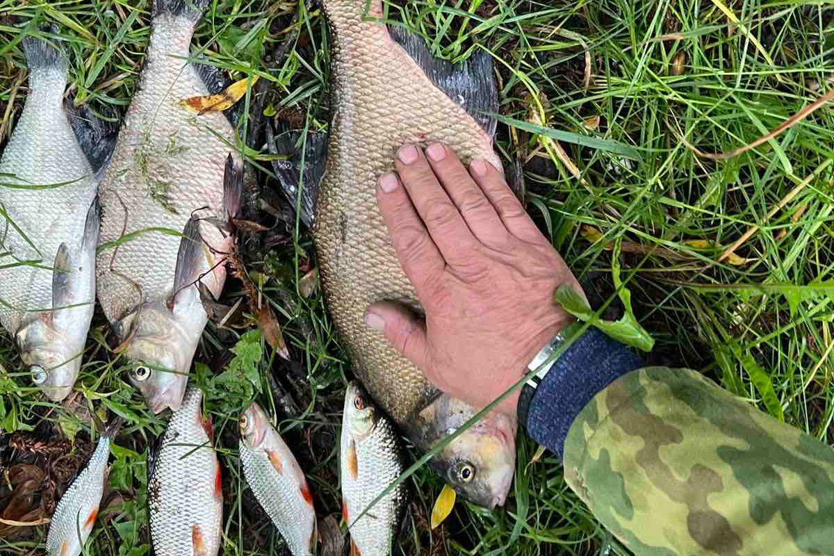 Ночная рыбалка на водохранилище Гать