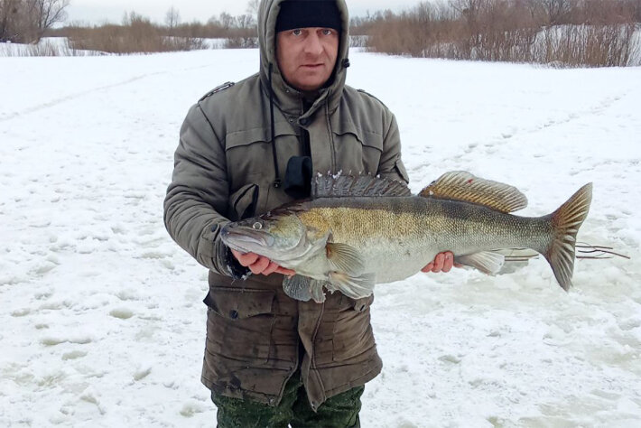 Судак на 7,9 кг