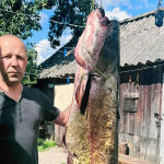Белорусский рыболов поймал двухметрового сома