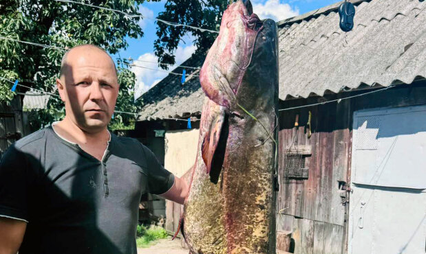 Белорусский рыболов поймал двухметрового сома
