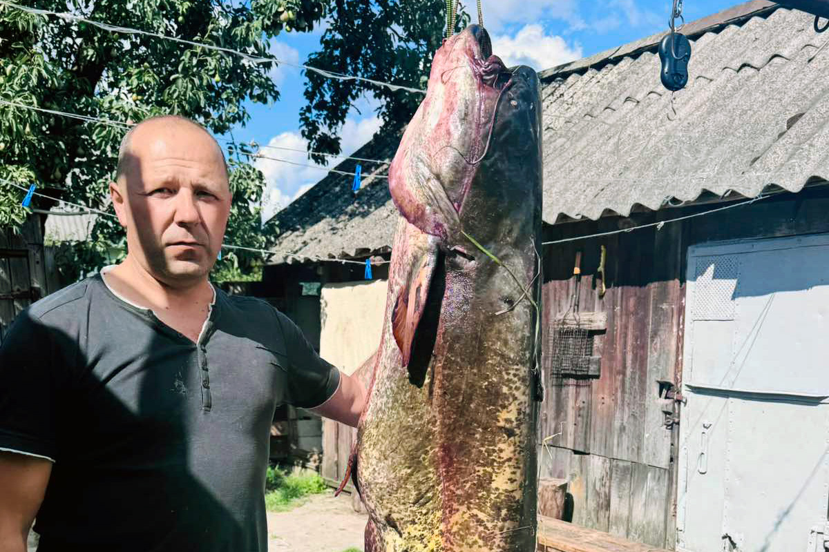 Белорусский рыболов поймал двухметрового сома