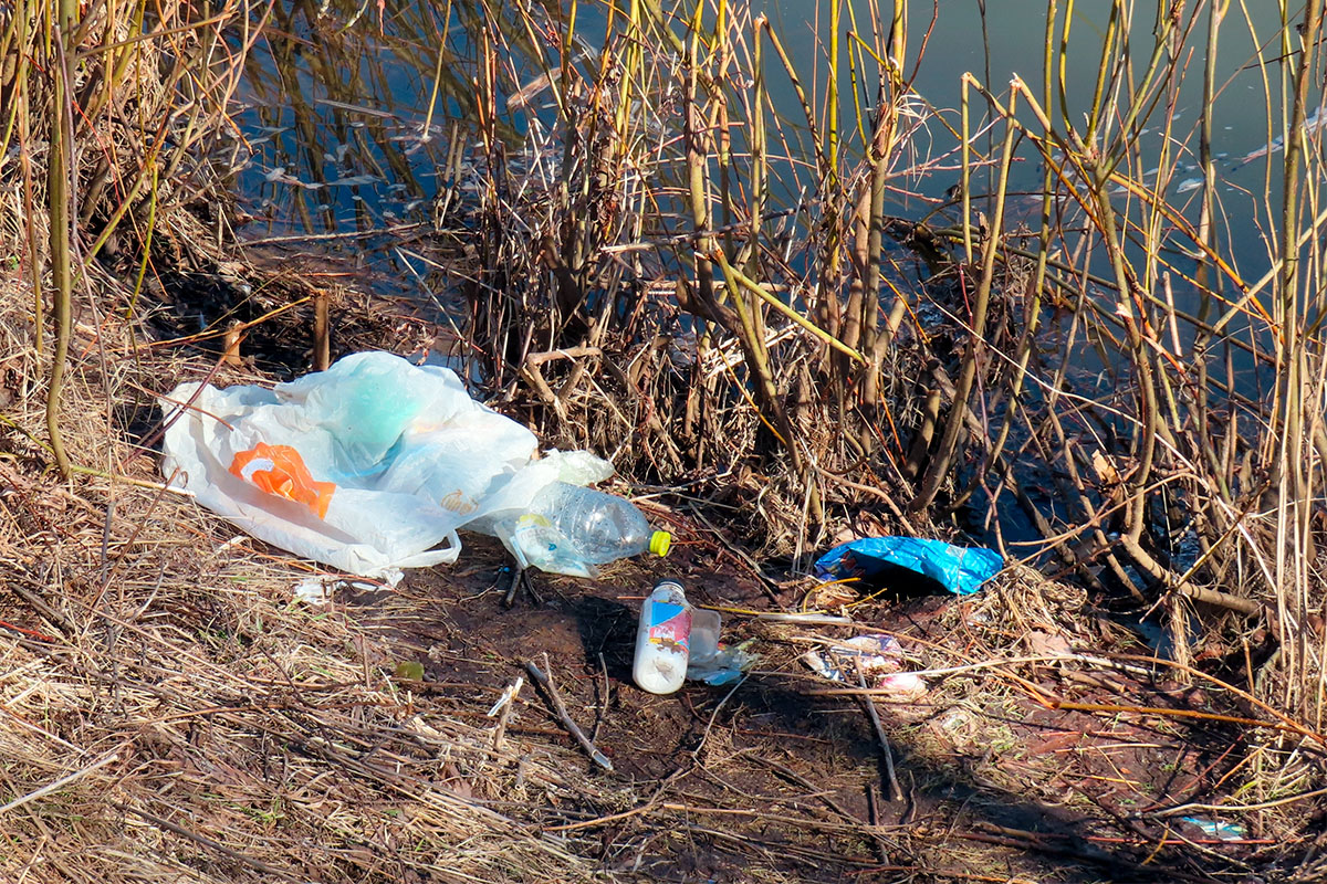 Пластиковый мусор на водоемах