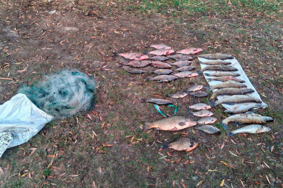 Браконьерство с сетями на водохранилище Погост