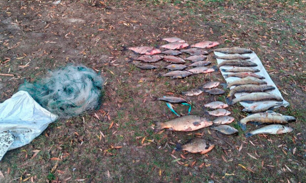 Браконьерство с сетями на водохранилище Погост